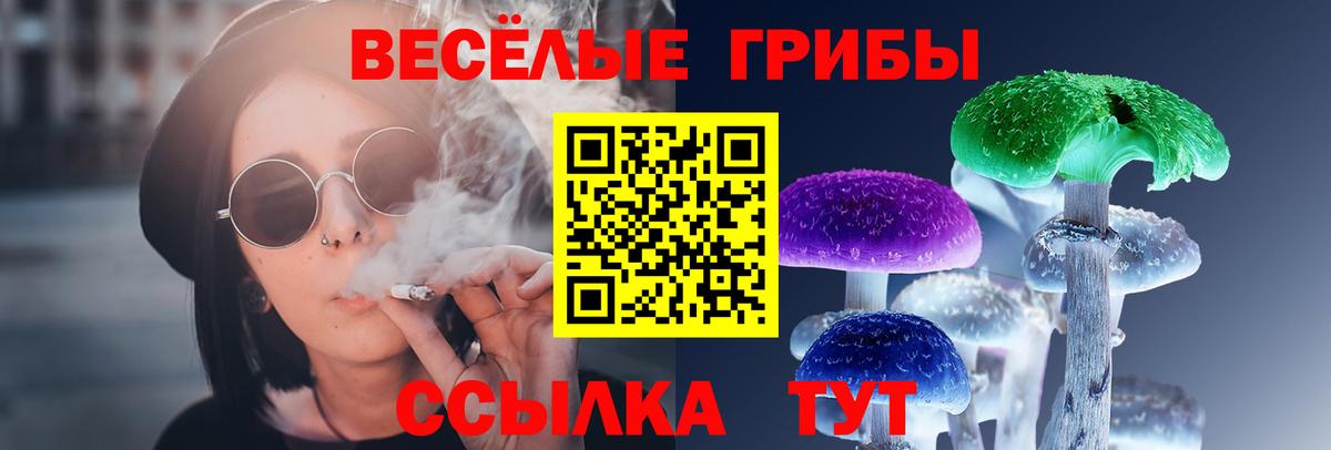 цены   Галлюциногенные грибы MAGIC MUSHROOMS  Вход с VPN  Жуковский  Галлюциногенные грибы прущие грибы 